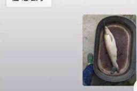 威宁讨债公司成功追回消防工程公司欠款108万成功案例